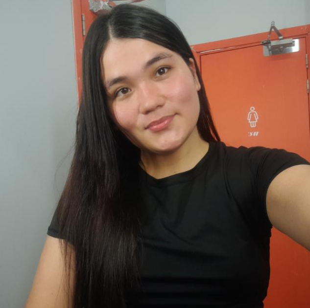 captura de pantalla 2025 01 31 234231